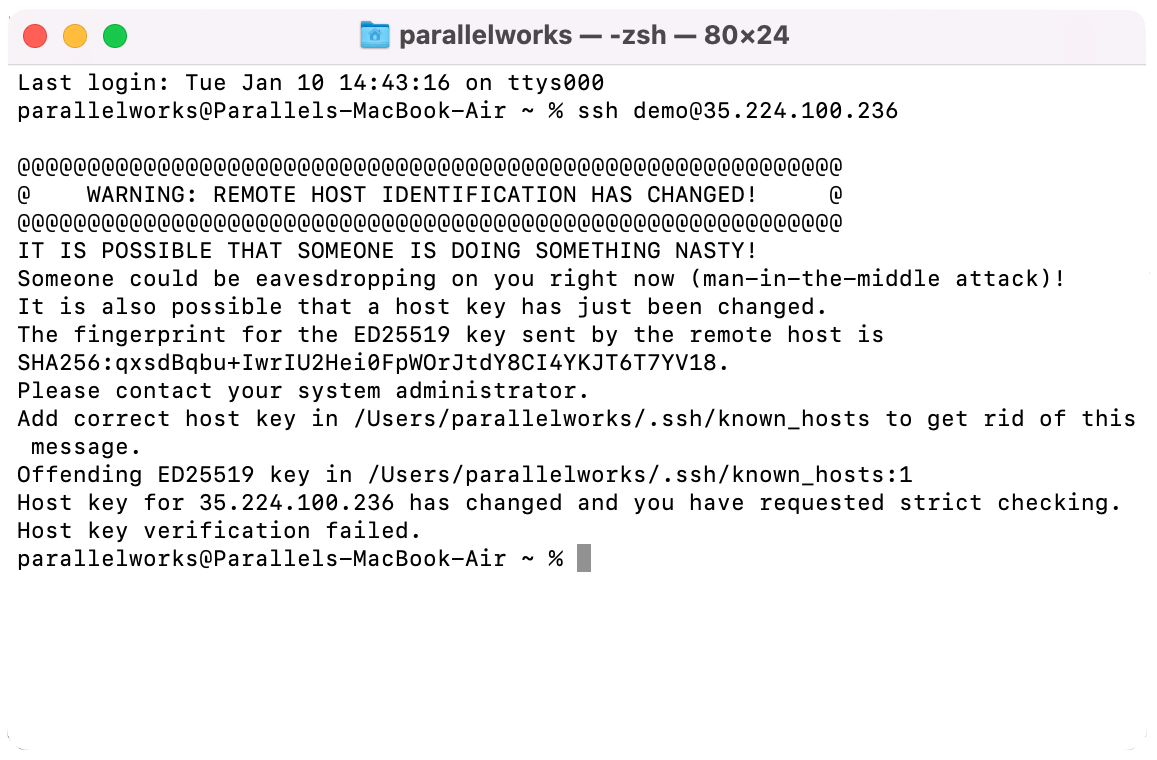 Screenshot of a duplicate IP address warning in a macOS Terminal window. 