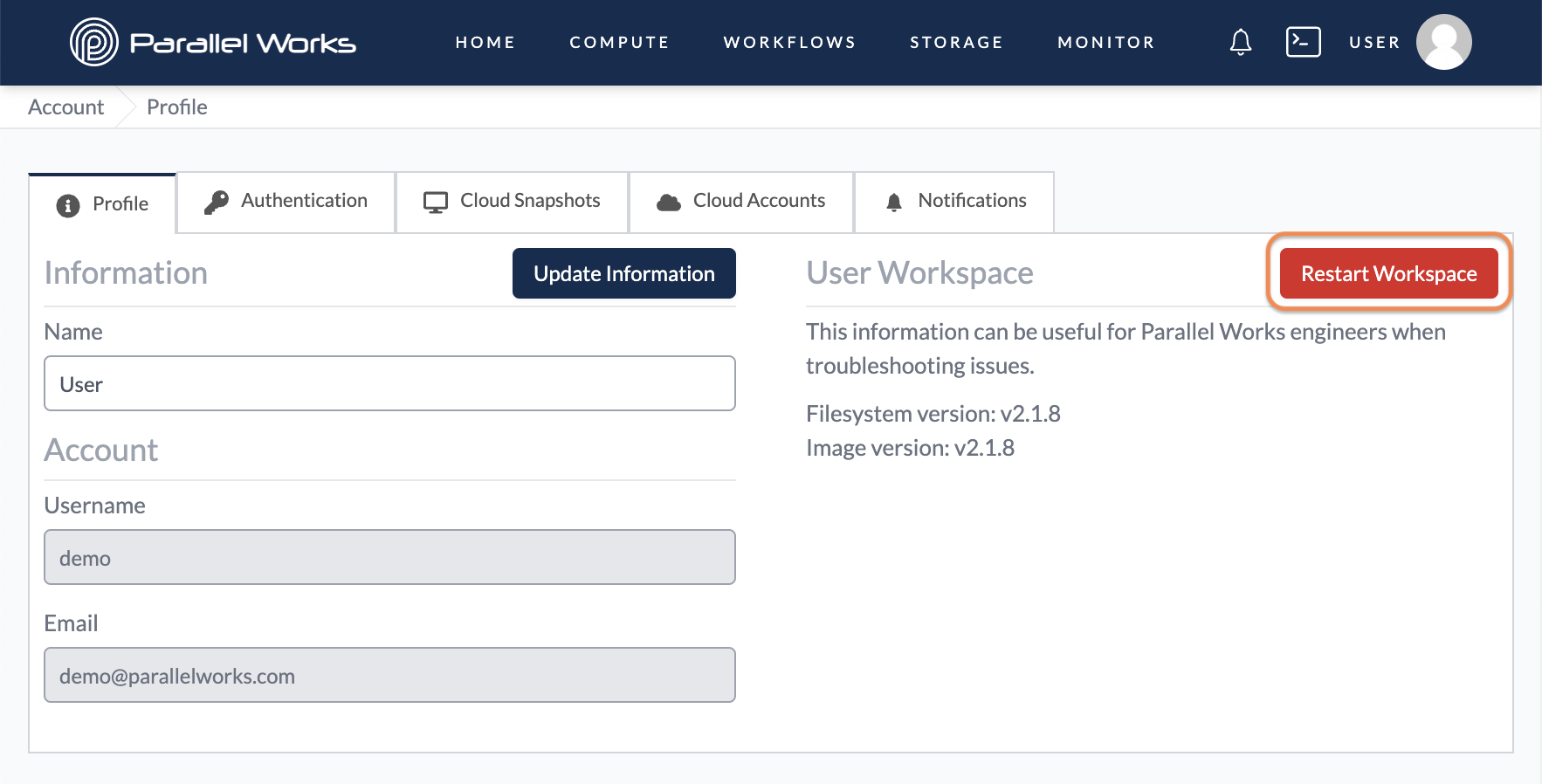 Screenshot of the user clicking the Restart Workspace button.