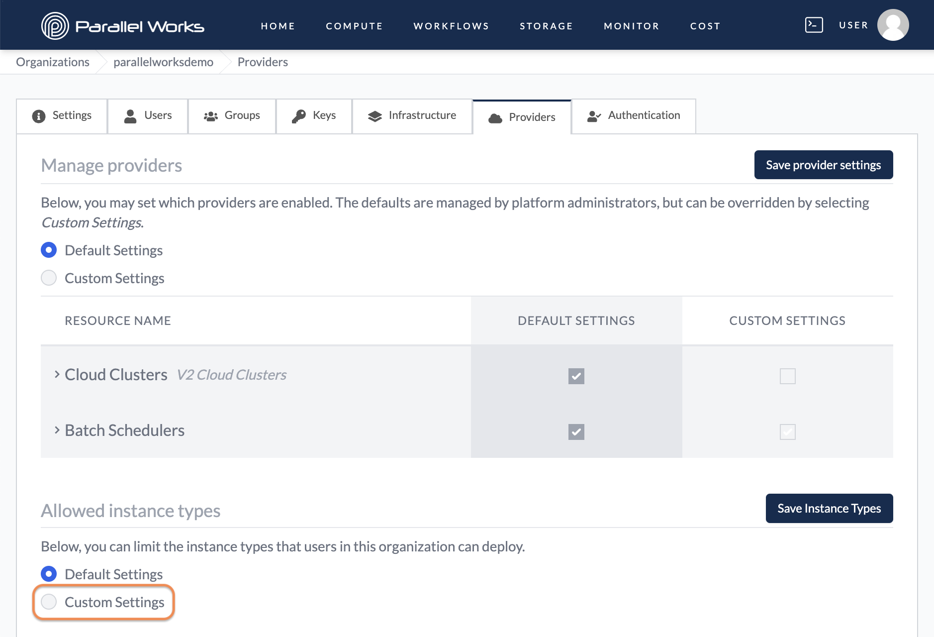Screenshot of the user selecting Custom Settings in their Providers tab.