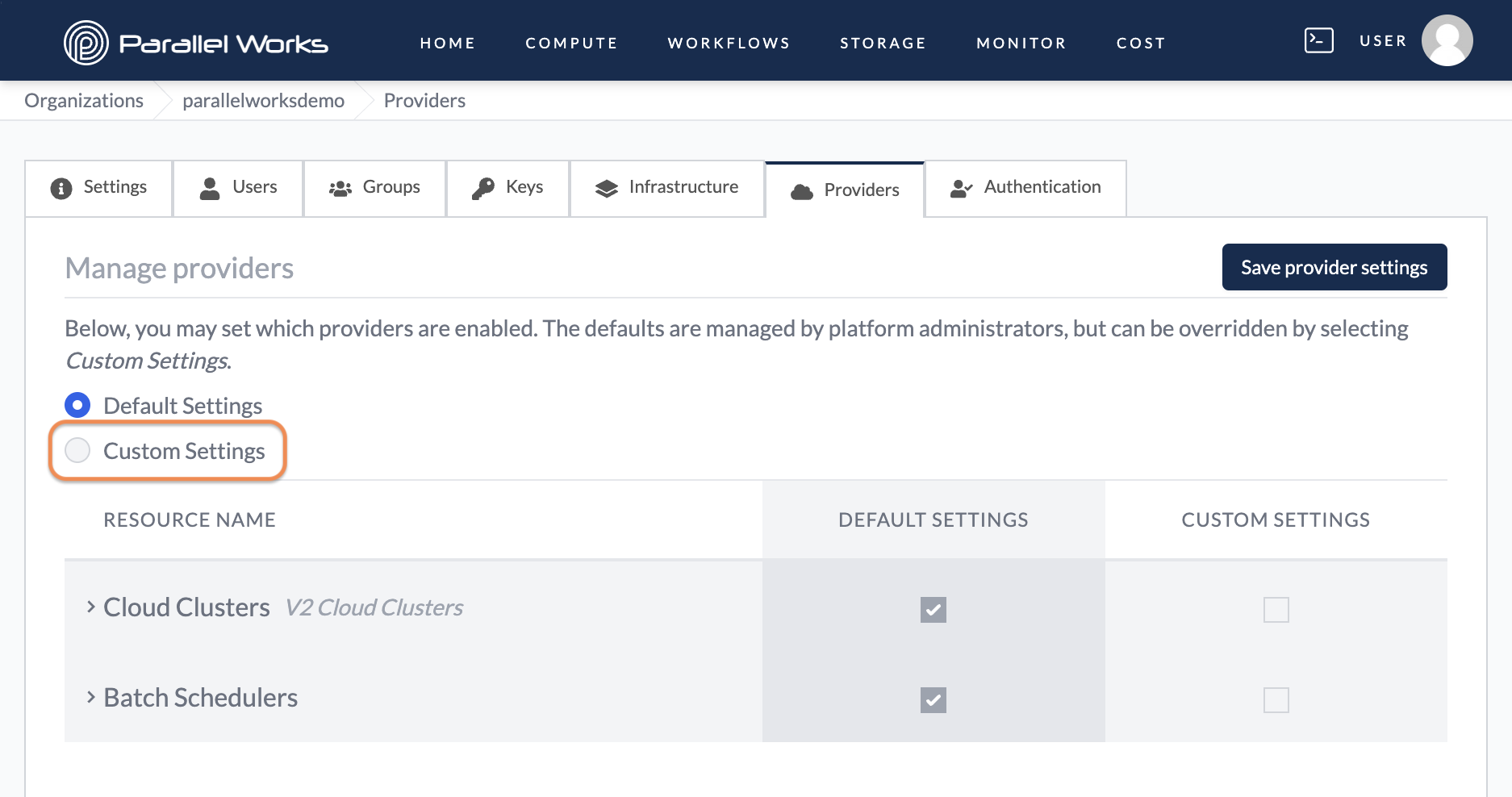 Screenshot of the user selecting Custom Settings in the Providers tab.