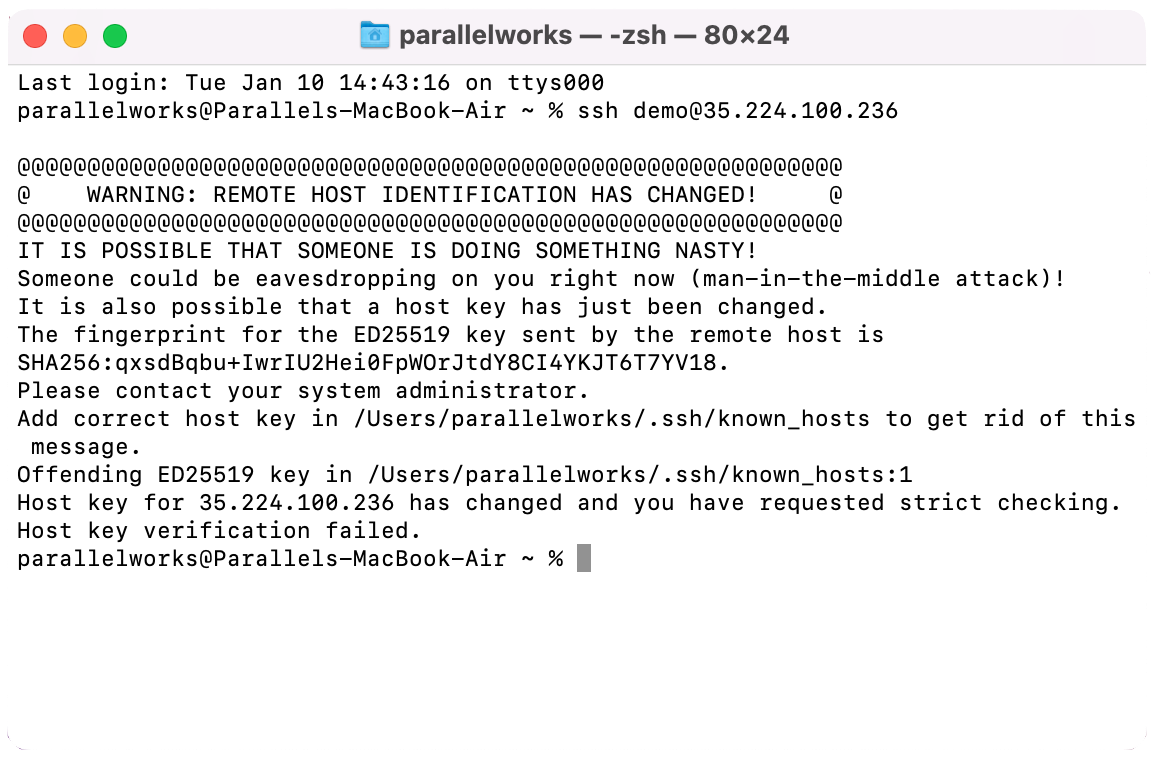 Screenshot of a duplicate IP address warning in a macOS Terminal window.